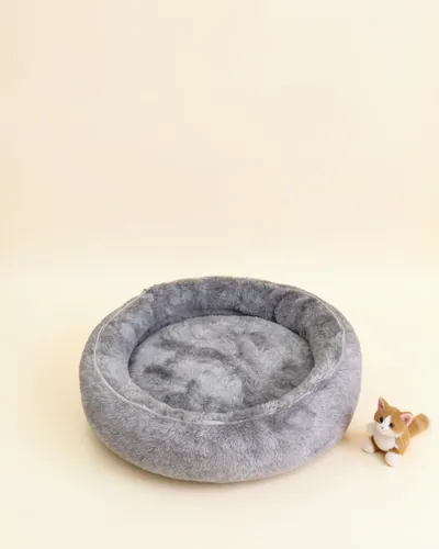 Pet shop, after: the cat bed on a cream background with a small cat toy