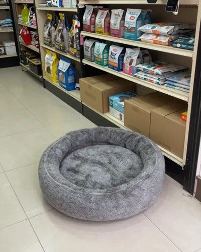 Pet shop, before: grey cat bed on the shop floor